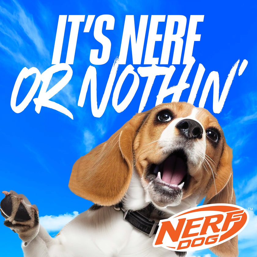 Nerf Dog Tennis Ball Blaster Dog Toy with 1 Ball, 16 in, Blue/Orange 🍁 All In One Marketplace Canada