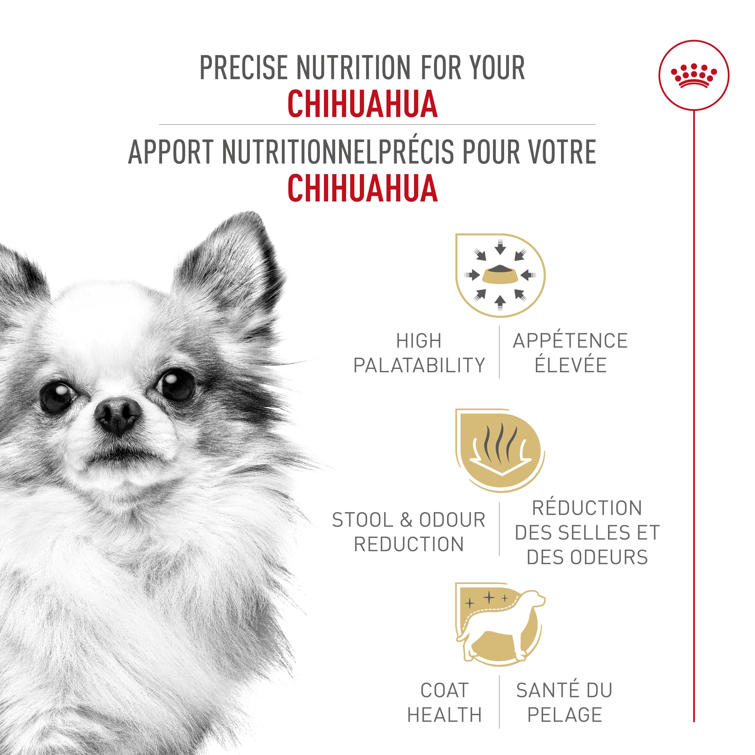Royal Canin Chihuahua Adult Dry Dog Food, 10 lb bag 🍁 All In One Marketplace Canada
