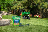 Scotts Grass Seed All Purpose Mix, 5kg (900 sq Meters / 9,683 sq feet Coverage) | Grows in Sun & Shade, Fast Germination | New Lawn or Overseeding Existing Lawn 🍁 All In One Marketplace Canada