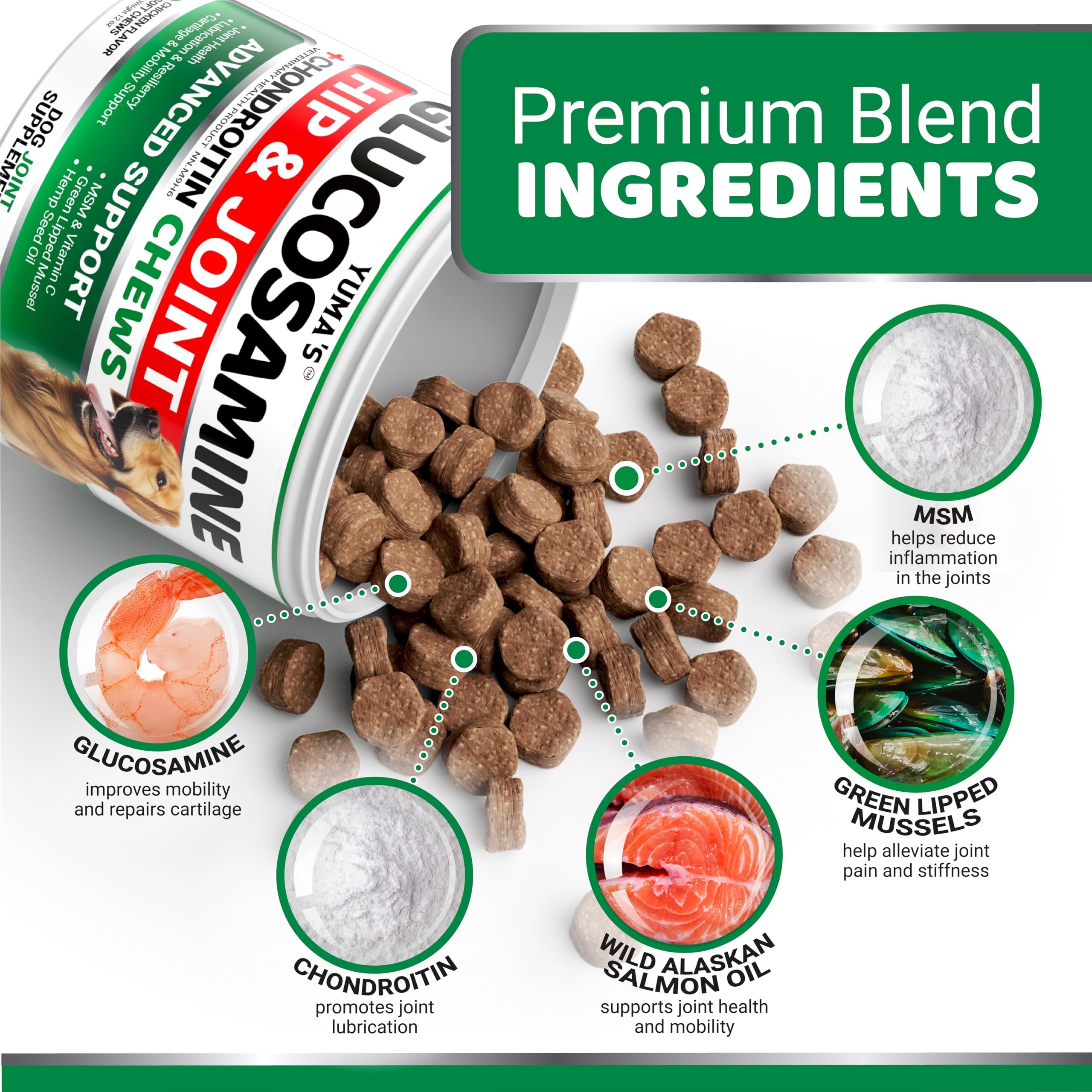 Glucosamine for Dogs - 170 Chews - Hip and Joint Supplement for Dogs - Glucosamine Chondroitin Chews - Joint Pain Relief Supplement with MSM - Advanced Health - Mobility Support - Made in USA 🍁 All In One Marketplace Canada