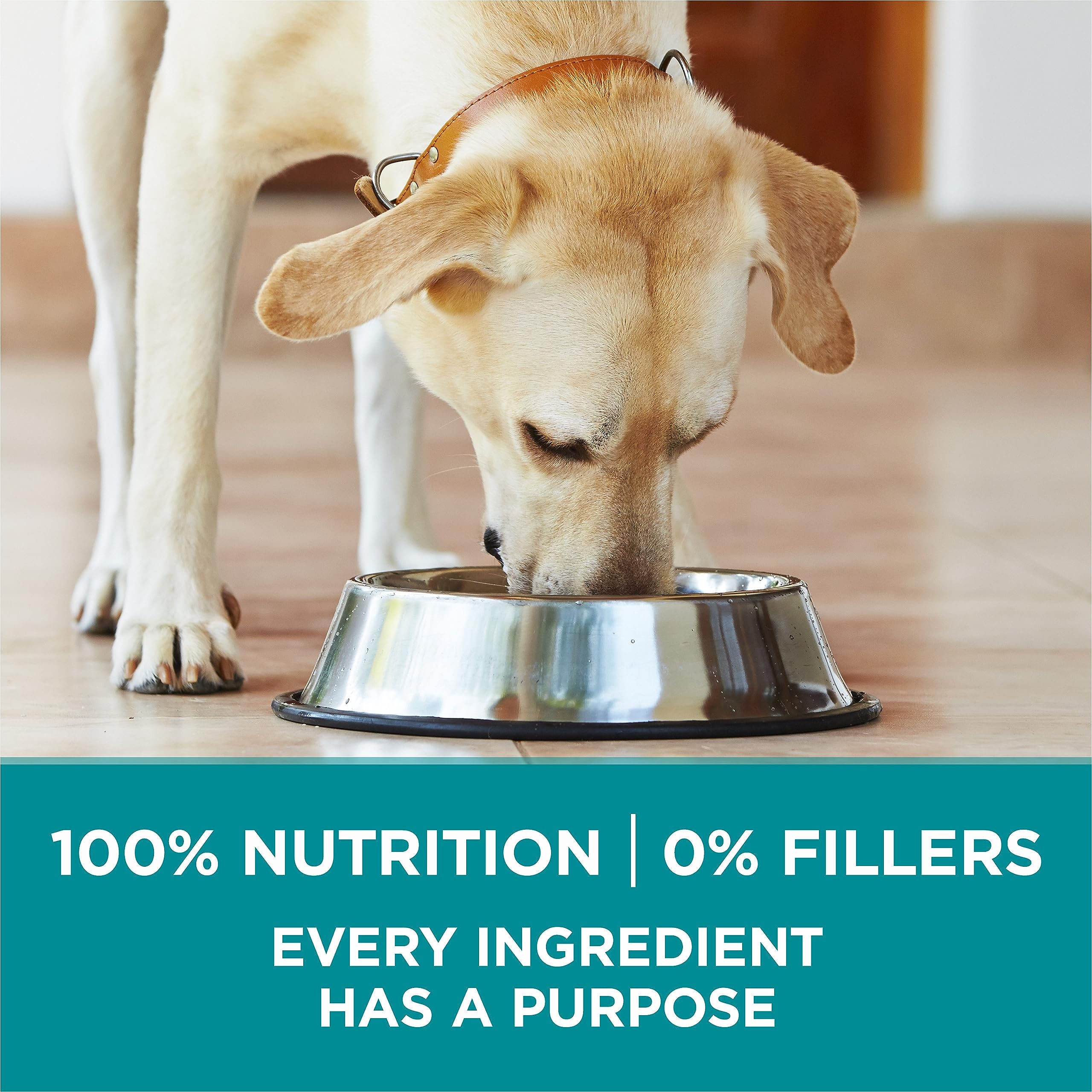 Purina ONE Dry Dog Food, +Plus Large Breed with Chicken - 7 kg Bag (1 Pack) 🍁 All In One Marketplace Canada