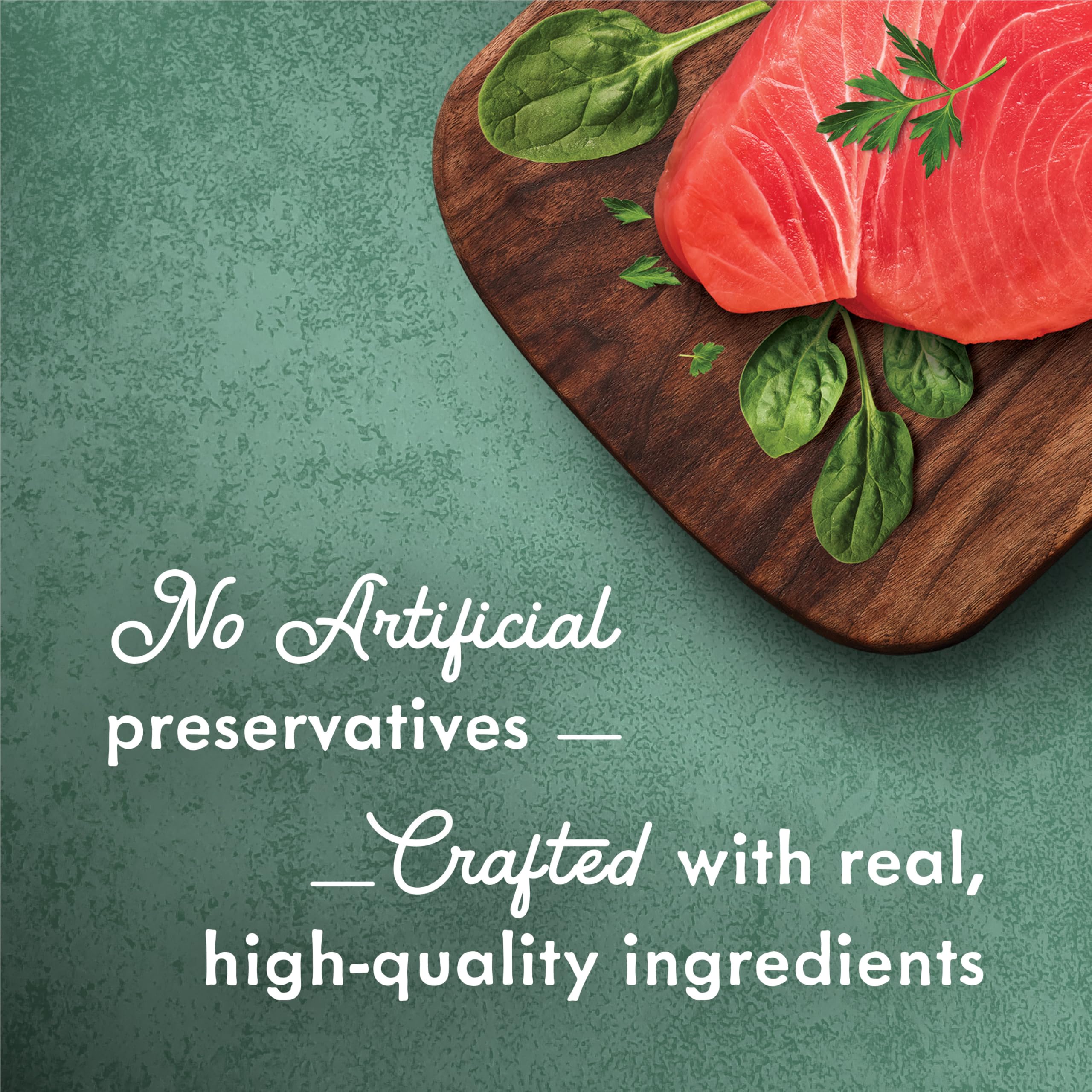 Fancy Feast Medleys Wet Cat Food, Tuna Florentine - 85 g Can (24 Pack) 🍁 All In One Marketplace Canada