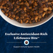 Blue Buffalo Life Protection Formula Adult Dry Dog Food, Helps Build and Maintain Strong Muscles, Made with Natural Ingredients, Fish & Brown Rice Recipe, 11.7kg/26lbs Bag 🍁 All In One Marketplace Canada