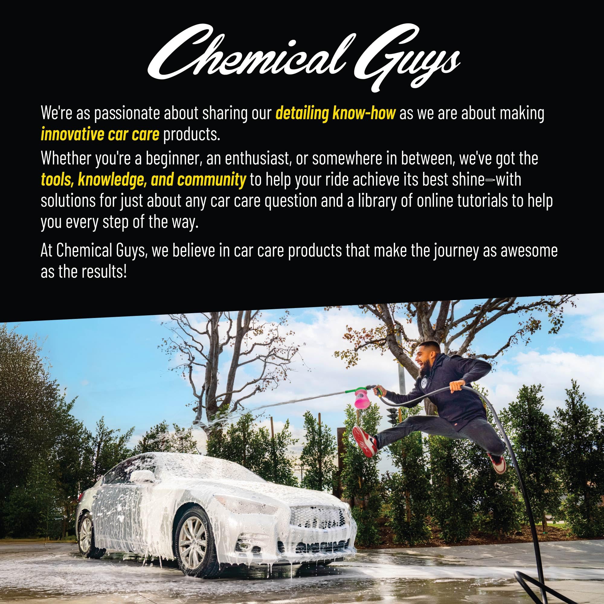 Chemical Guys All in The Details Interior Detailing Brush Set (Great for Cars, Trucks, SUVs, RVs, & More) 🍁 All In One Marketplace Canada