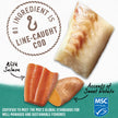 Beyond Natural Wet Dog Food, Alaskan Cod, Salmon & Sweet Potato Ground Entree - 368 g Can (12 Pack) 🍁 All In One Marketplace Canada