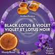 Air Wick Essential Mist Refill – Air Freshener Infused with Essential Oils, Easy Change Refill for Cordless Diffuser – 3 Count – Black Lotus & Violet Scent 🍁 All In One Marketplace Canada