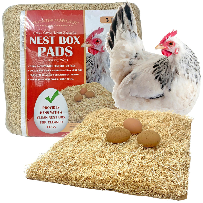 Nest Box Pads for Chicken Nesting Boxes - 13 x 13 Pads Made in USA from Sustainably Sourced Aspen Excelsior (5 Pack) 🍁 All In One Marketplace Canada