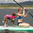Outward Hound Granby Splash Dog Life Jacket with Handle, Reflective Floating Vest for Swimming & Boating, Maximum Buoyancy, All Skill Levels, Medium Dogs (21–27