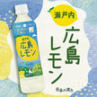 Itoen Nippon Ale Setouchi Lemon (500G) [Best Before Date: 2025.11]