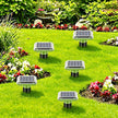 Solar-Powered Animal Ground Stakes 4 Pack, Waterproof Outdoor Yard Protector Accessories for Lawn, Yard and Garden (Green) 🍁 All In One Marketplace Canada