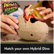 Primal Hatch Hybrid Hatchers Mystery Mini Dino Egg Toy 🍁 All In One Marketplace Canada