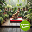Almo Nature: Natural Unscented Cat Litter - 10 lbs - Non-Toxic, 100% Plant-Based, Clumping, Biodegradable, Compostable, for Cats & Kittens 🍁 All In One Marketplace Canada