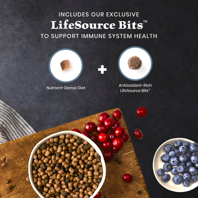 Blue Buffalo Wilderness with Salmon Natural High-Protein Grain-Free Dry Food for Adult Cats, Real Salmon First, Antioxidant-Rich LifeSource Bits Support Immunity, Promotes Strong Muscles, 2.2kg/5 lbs. 🍁 All In One Marketplace Canada