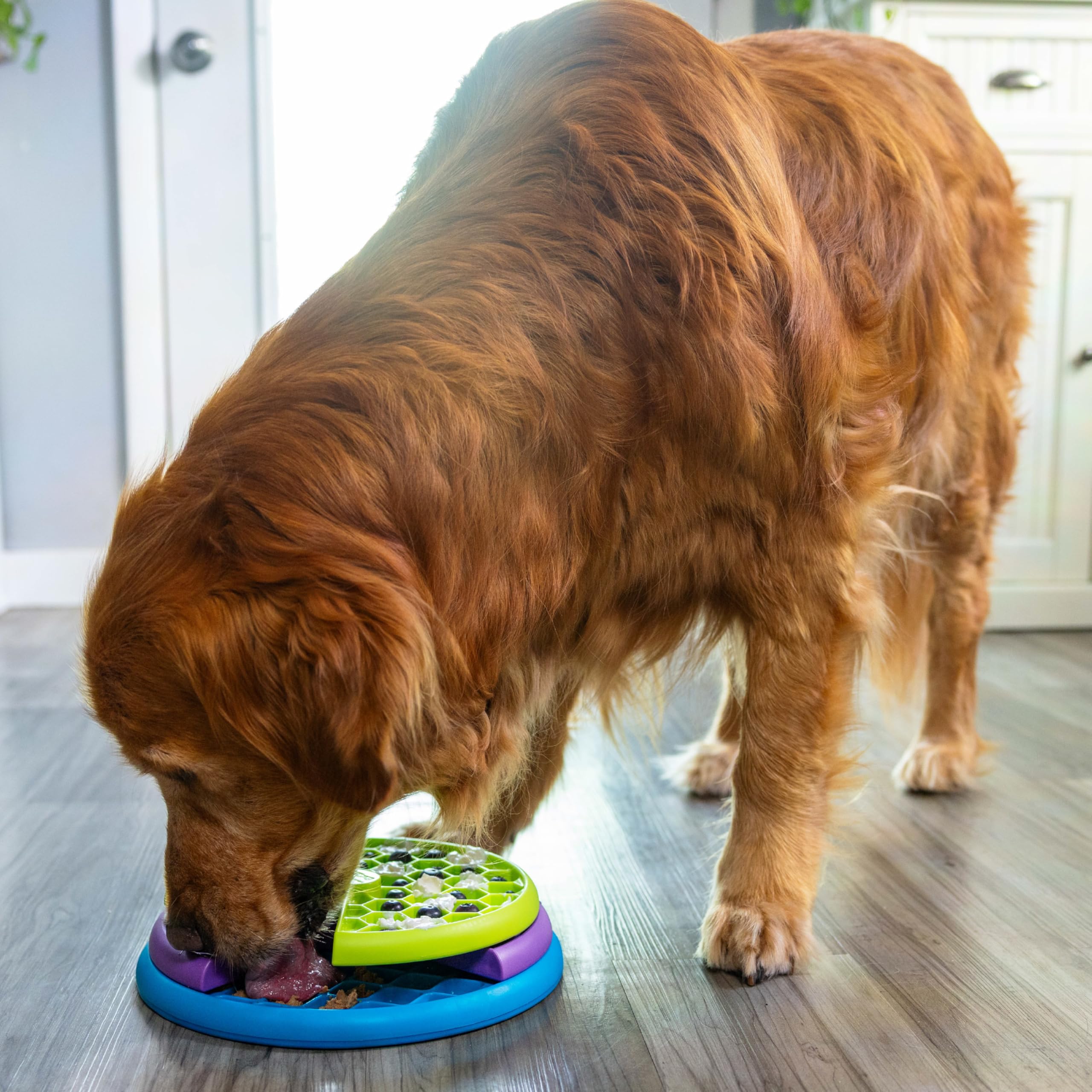 Outward Hound Nina Ottosson Lickin’ Layers 3-in-1 Dog Toy Treat Puzzle, 10