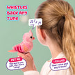 Little Live Pets My Really Real Bird & Cage - Rosie, Interactive, Realistic Pet, 20+ Sounds & Reactions (25cm/9,8in Cage, 10,9cm/4,3in Bird), Records & Repeats or Whistles Back, Carry & Display 🍁 All In One Marketplace Canada