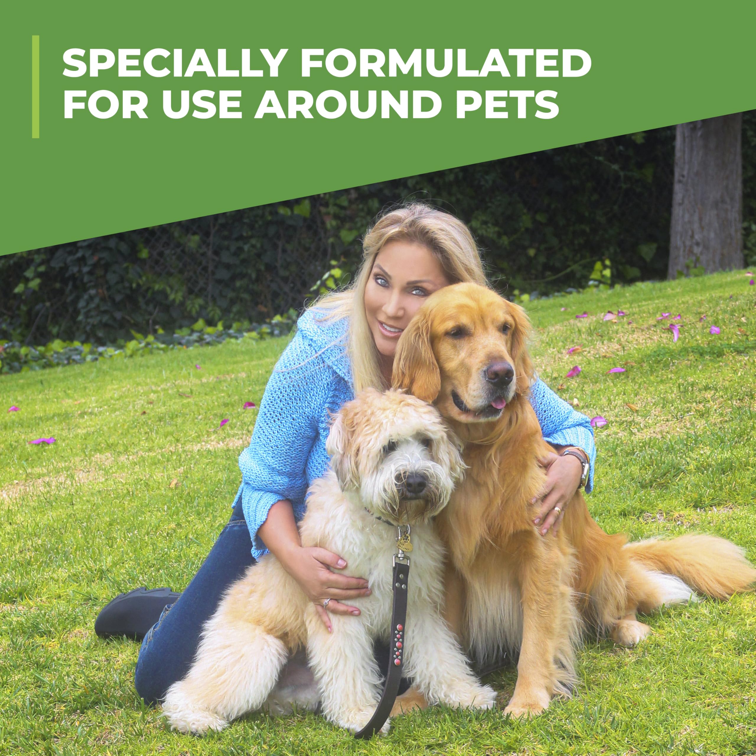 Simple Green Outdoor Odor Eliminator for Pets, Dogs, 1 Gallon Refill - Ideal for Artificial Lawns & Patio, Milky White 🍁 All In One Marketplace Canada