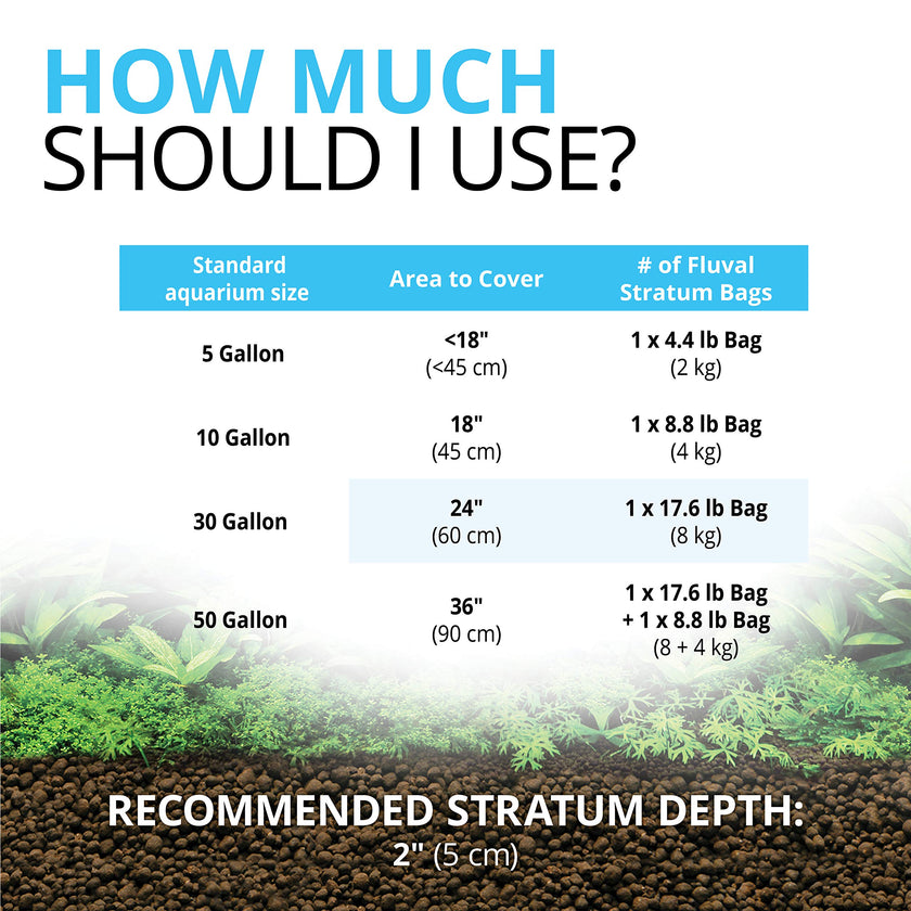 Fluval 12697 Plant and Shrimp Stratum, 8.8-Pound, Black 🍁 All In One Marketplace Canada