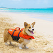 Outward Hound Granby Splash Dog Life Jacket with Handle, Reflective Floating Vest for Swimming & Boating, Maximum Buoyancy, All Skill Levels, Extra-Small Dogs & Puppies (11–15