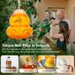 Aspectek Yellow Wasp Trap, 2 Pack, Outdoor Hanging Hornet, Yellow Jacket and Fly Catcher for Yard and Patio, Reusable, Easy Fill, Leak-Proof, Protect Garden, Patio, BBQ, Apple, Pear Trees, Berries 🍁 All In One Marketplace Canada