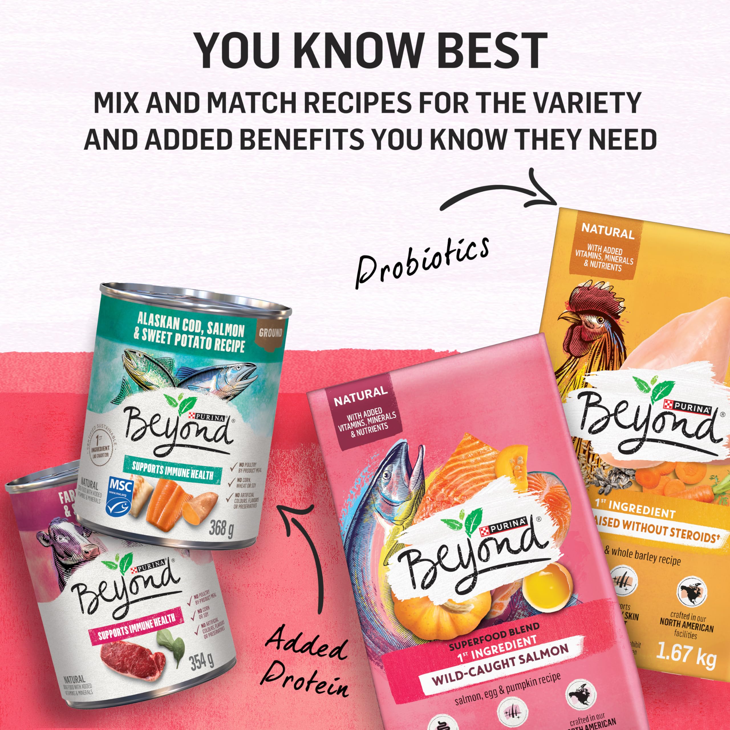 Beyond Superfood Blend Natural Dry Dog Food, Wild Caught Salmon, Egg & Pumpkin - 5 kg Bag 🍁 All In One Marketplace Canada
