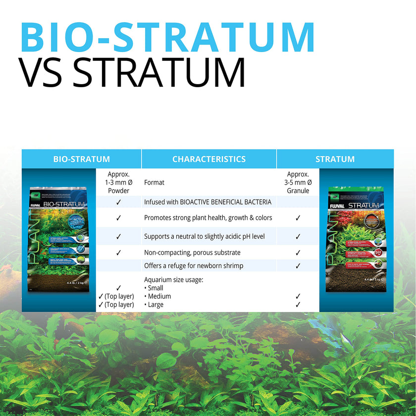 Fluval 12697 Plant and Shrimp Stratum, 8.8-Pound, Black 🍁 All In One Marketplace Canada
