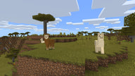Minecraft (CAN Version) - Physical Edition 🍁 All In One Marketplace Canada
