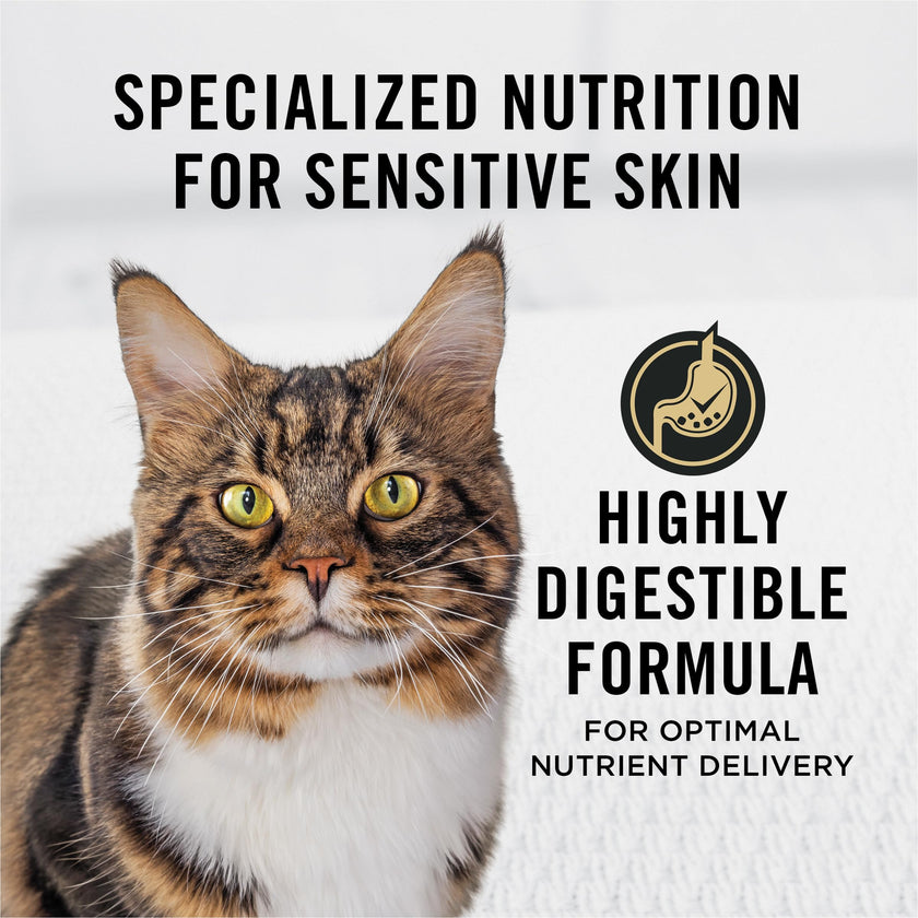Purina Pro Plan Probiotics, Sensitive Skin & Stomach, Natural Dry Cat Food, Focus Turkey & Oat Meal - 5.5 lb. Bag 🍁 All In One Marketplace Canada