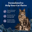 Blue Buffalo Wilderness with Chicken Natural High-Protein Grain-Free Dry Food for Adult Cats, Real Chicken First, Antioxidant-Rich LifeSource Bits Support Immunity, Promotes Strong Muscles, 6 lbs. 🍁 All In One Marketplace Canada