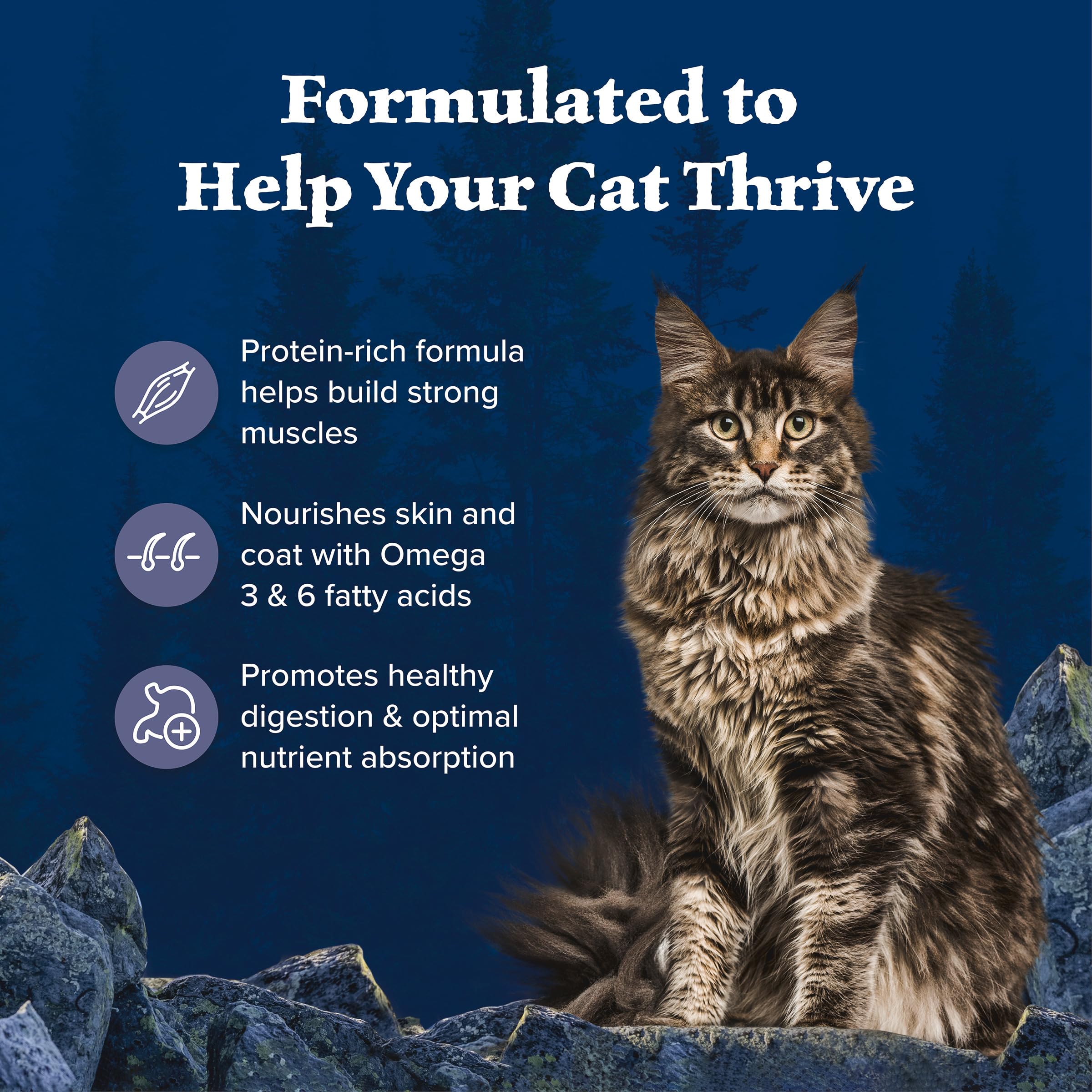 Blue Buffalo Wilderness with Chicken Natural High-Protein Grain-Free Dry Food for Adult Cats, Real Chicken First, Antioxidant-Rich LifeSource Bits Support Immunity, Promotes Strong Muscles, 6 lbs. 🍁 All In One Marketplace Canada