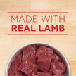 Purina ONE Wet Dog Food, Tender Cuts in Gravy Lamb & Rice 368g (12 Pack) 🍁 All In One Marketplace Canada