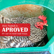 Nest Box Pads for Chicken Nesting Boxes - 13 x 13 Pads Made in USA from Sustainably Sourced Aspen Excelsior (5 Pack) 🍁 All In One Marketplace Canada