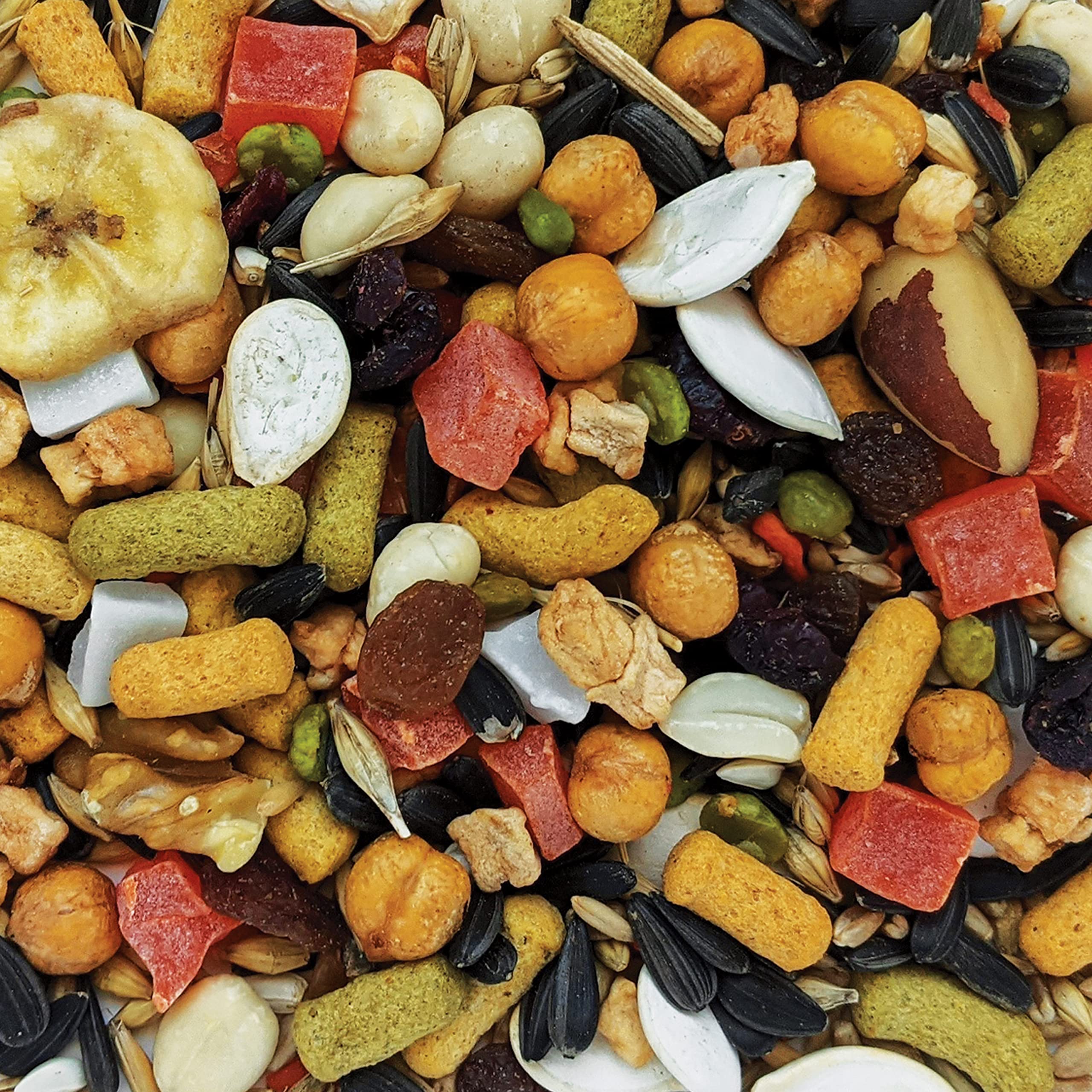 Hagen B2821 Gourmet Parrot Mix, 1.8 Kg, 4-Pound 🍁 All In One Marketplace Canada