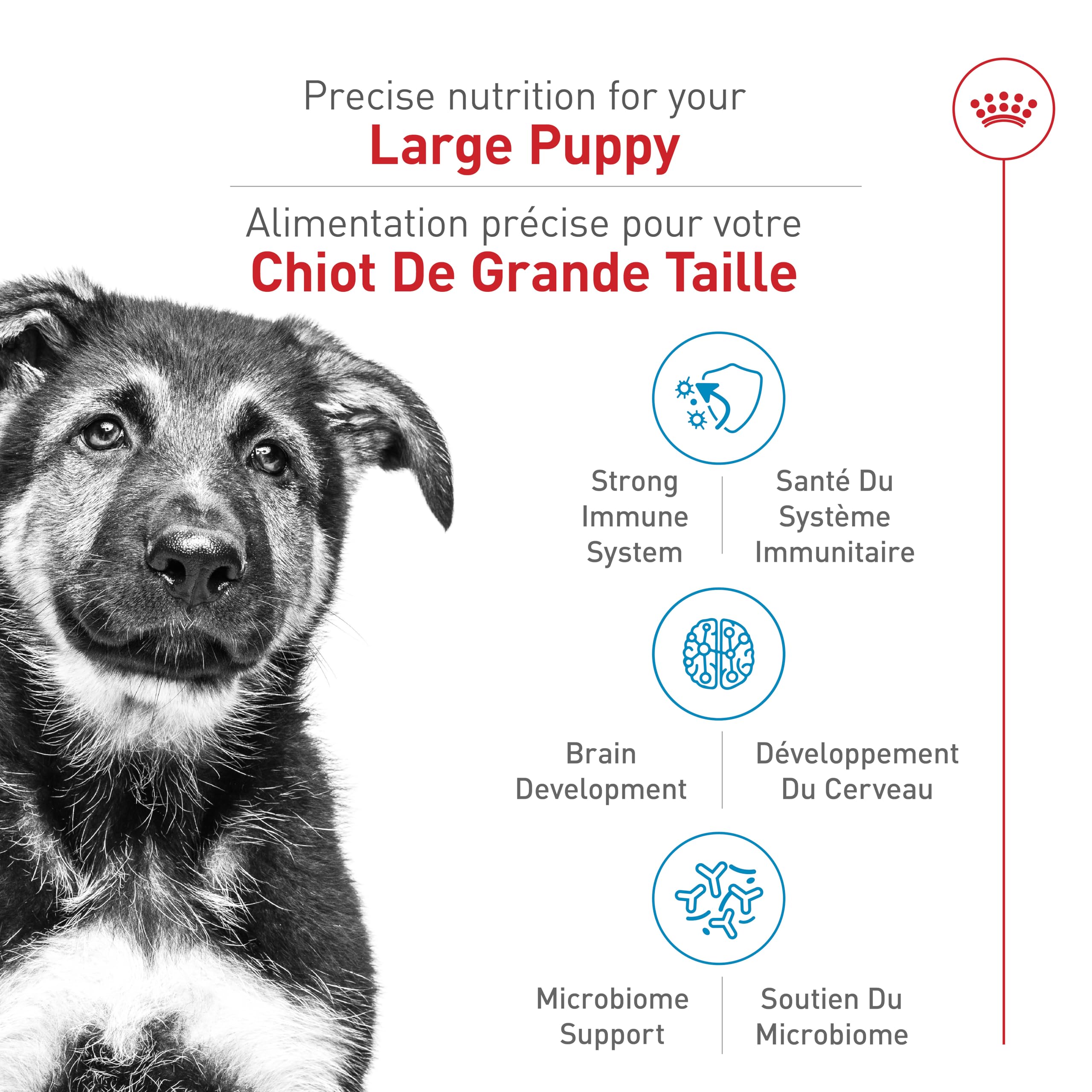 Royal Canin Size Health Nutrition Large Puppy Dry Dog Food, 17 lb Bag 🍁 All In One Marketplace Canada