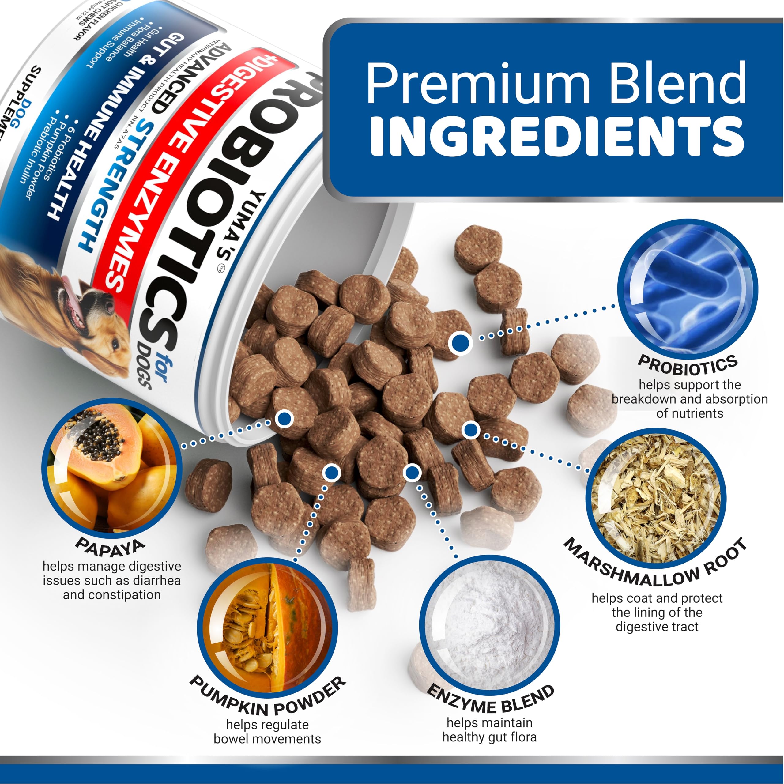 Probiotics for Dogs - 170 Chews - Helps Relieve Diarrhea, Gas & Allergies, Constipation - Dog Probiotics - Digestive & Immune Support - Prebiotics & Digestive Enzymes - Gut Health Chewable Supplement 🍁 All In One Marketplace Canada
