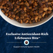 Blue Buffalo Wilderness with Chicken High-Protein Grain-Free Adult Dry Dog Food, 34g Protein, Supports Immunity with Antioxidant-Rich LifeSource Bits, Promotes Healthy Muscle Development, 24 lbs. 🍁 All In One Marketplace Canada