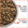 Nutrience Care Sensitive Skin & Stomach Hypoallergenic Adult Dog Food, 10 kg (22 lb), Salmon & Pumpkin, Grain & Gluten Free, Fresh Canadian Protein, Dry Dog Food, Nourriture Pour Chien 🍁 All In One Marketplace Canada