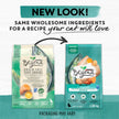 Beyond Grain Free Natural Dry Cat Food, Wild-Caught Whitefish & Free Run Egg - 2.26 kg Bag 🍁 All In One Marketplace Canada