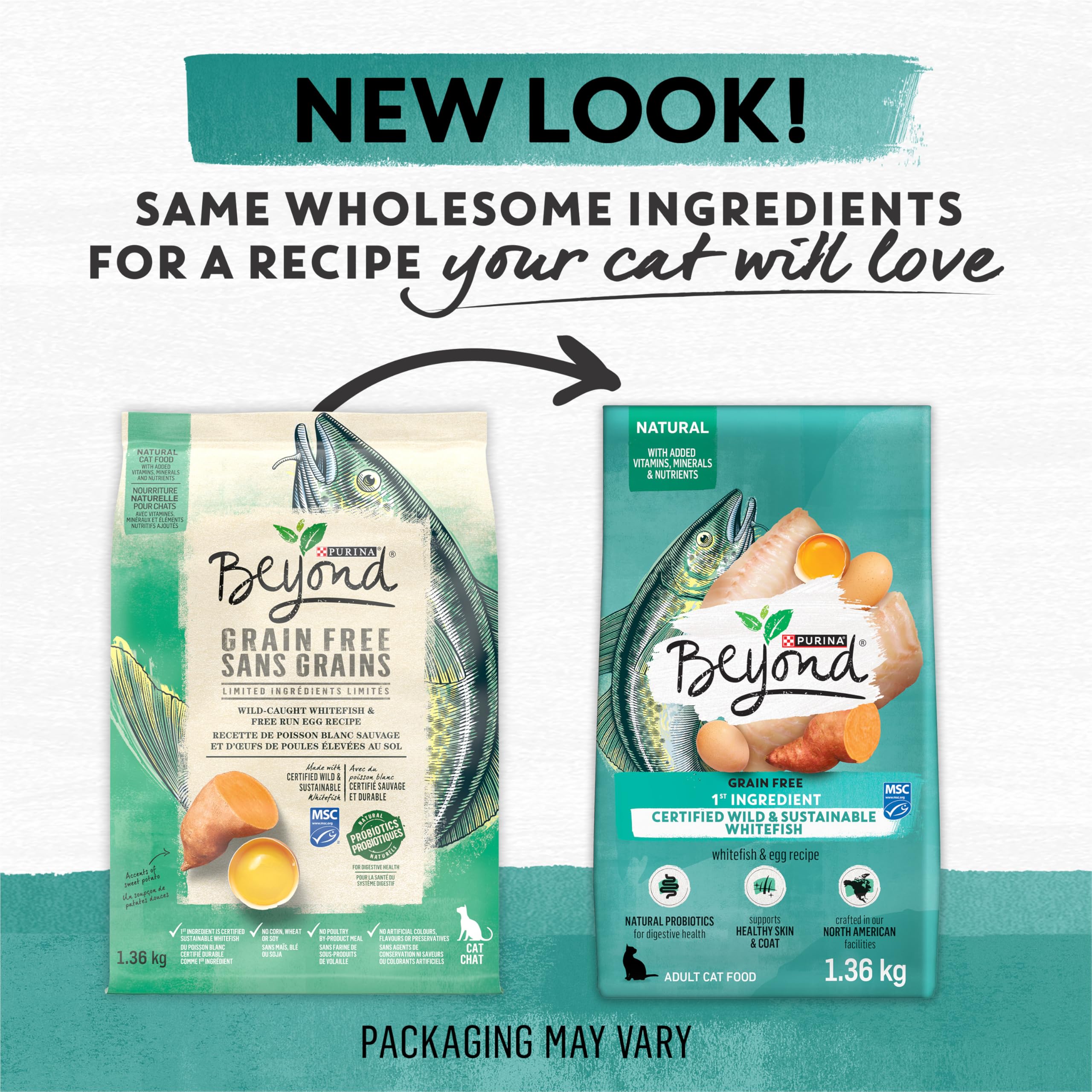 Beyond Grain Free Natural Dry Cat Food, Wild-Caught Whitefish & Free Run Egg - 2.26 kg Bag 🍁 All In One Marketplace Canada