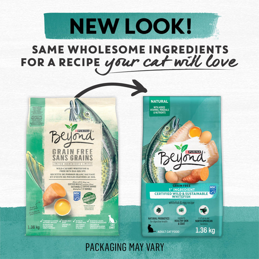 Beyond Grain Free Natural Dry Cat Food, Wild-Caught Whitefish & Free Run Egg - 2.26 kg Bag 🍁 All In One Marketplace Canada