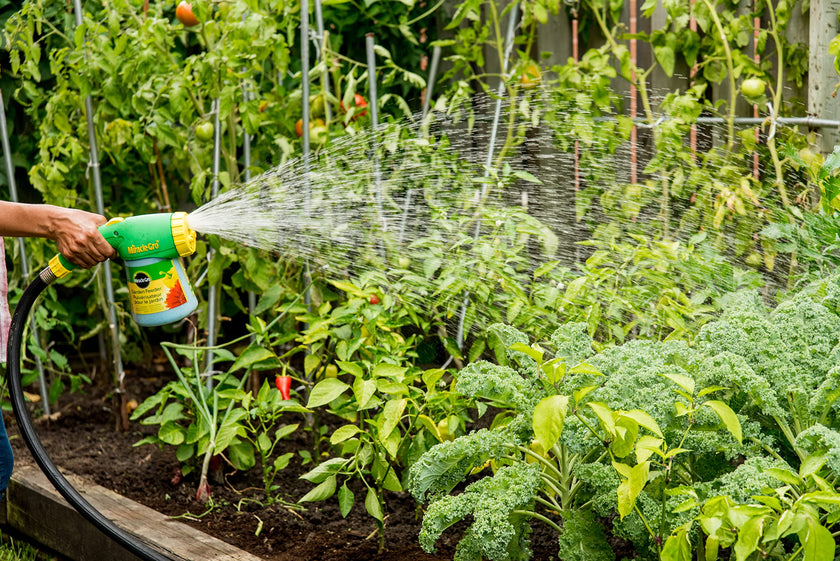 Miracle-Gro Garden Feeder Hose Attachment | Plant Food Sprayer | Easy One-Handed Hose End Fertilizer Dispenser for Outdoor Plants 🍁 All In One Marketplace Canada