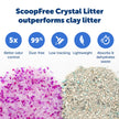 PetSafe ScoopFree Crystal Litter Tray Refills Lavender Crystals, 3-Pack Disposable Tray Includes Leak Protection & Low Tracking Litter Absorbs Odors on Contact,(PAC00-16689) 🍁 All In One Marketplace Canada