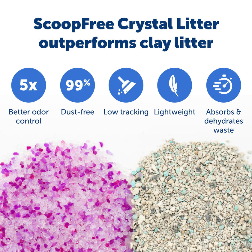 PetSafe ScoopFree Crystal Litter Tray Refills Lavender Crystals, 3-Pack Disposable Tray Includes Leak Protection & Low Tracking Litter Absorbs Odors on Contact,(PAC00-16689) 🍁 All In One Marketplace Canada