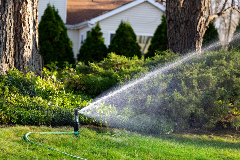 Rain Bird 42SASPG 42SA Gear Drive Rotor Sprinkler on Heavy Duty Green Spike, Adjustable 40° - 360° Pattern, 26' - 38' Spray Distance 🍁 All In One Marketplace Canada