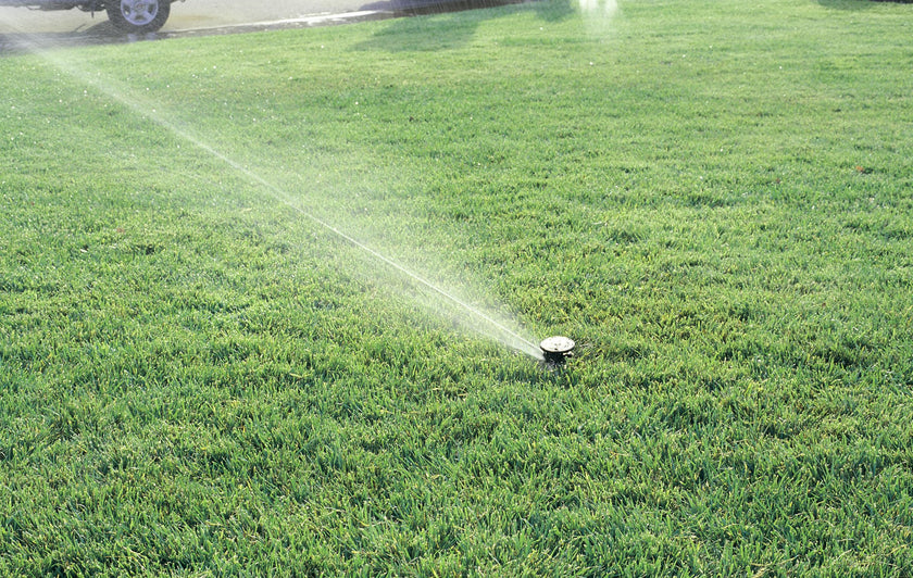 Rain Bird LG-3 Low Gallonage Pop-up Impact Lawn Sprinkler, Adjustable 20° - 360° Pattern, 26' - 41' Spray Distance 🍁 All In One Marketplace Canada