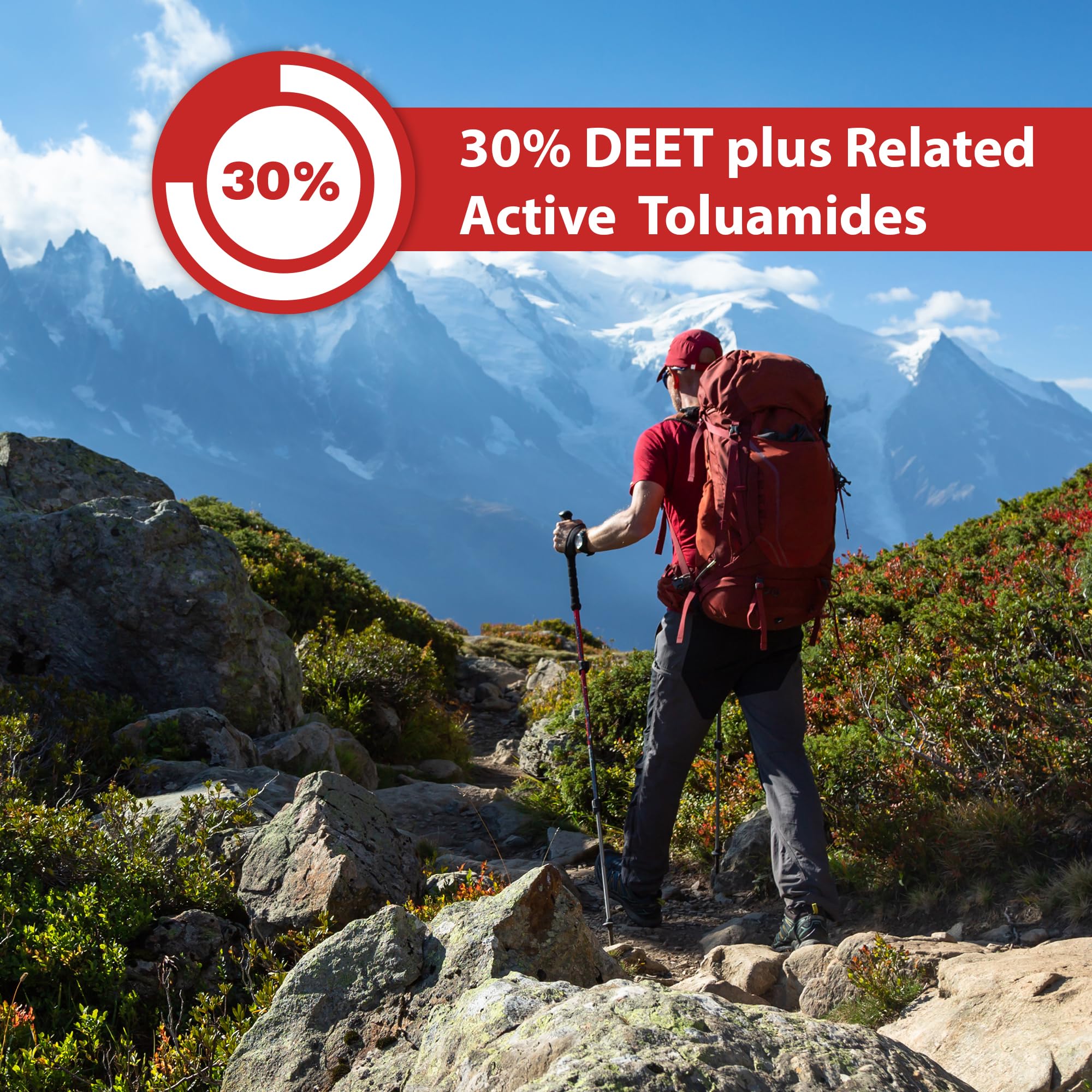 Great Outdoors Insect Repellent 30% DEET Aerosol Spray, 175g 🍁 All In One Marketplace Canada