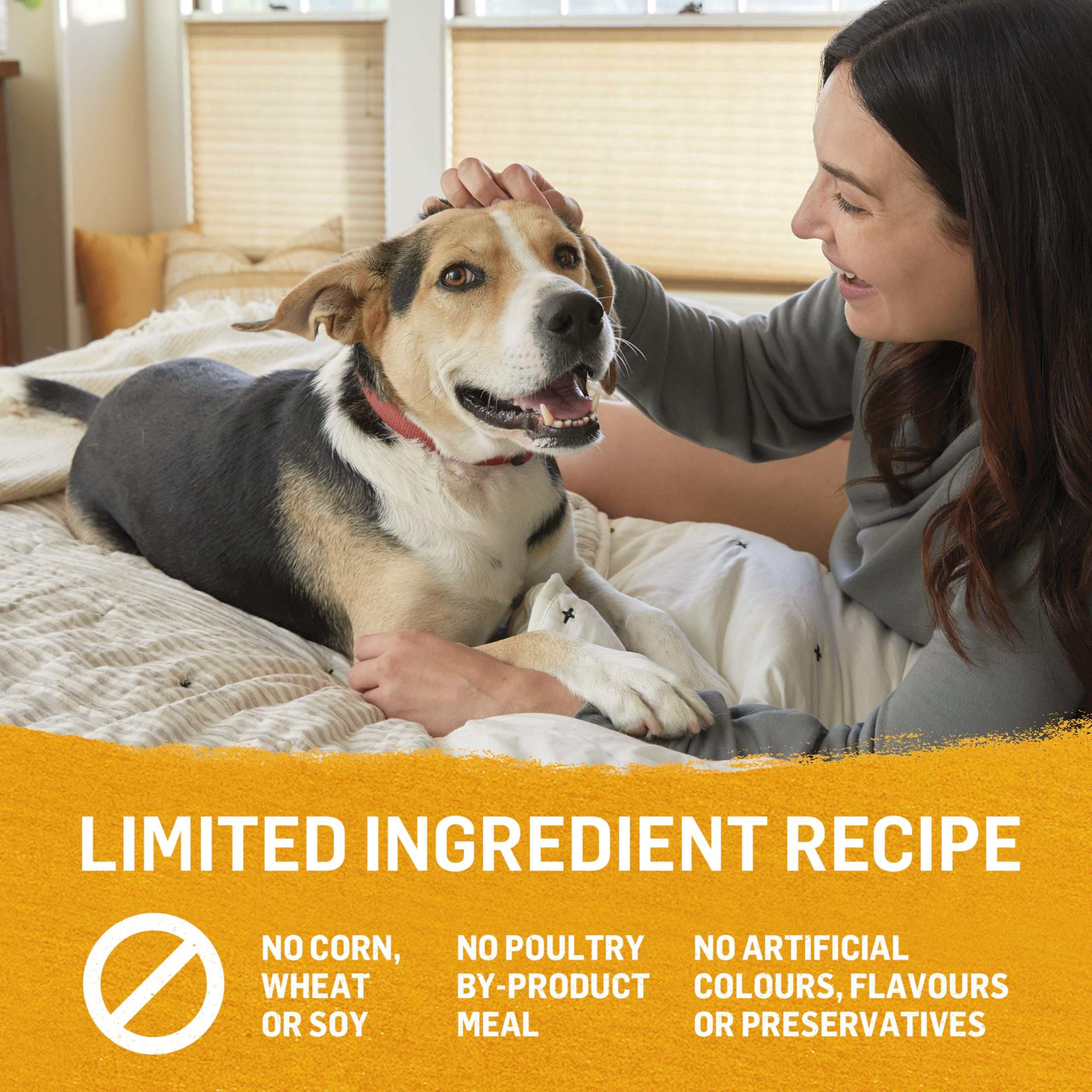 Beyond Grain Free Natural Wet Dog Food, Ground Entree Variety Pack 3 Flavours - 368 g Can (6 Pack) 🍁 All In One Marketplace Canada