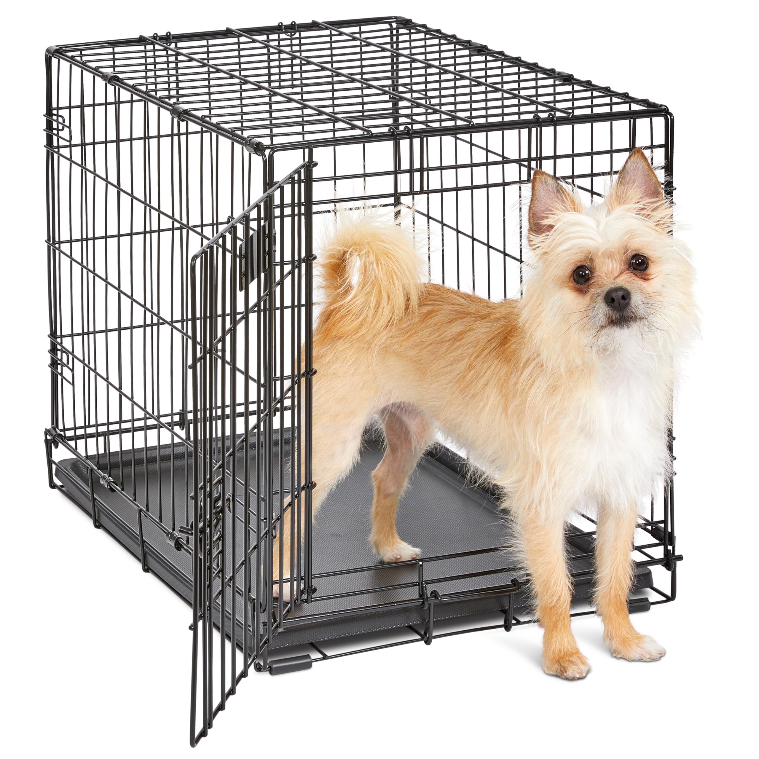 MidWest Homes for Pets 24-Inch iCrate for Small Breeds, 12-20 lbs, Single Door Folding Dog Crate with Divider Panel, Leak-Proof Tray & Secure Latch, Portable, Durable & Easy to Assemble 🍁 All In One Marketplace Canada
