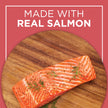Cat Chow Complete Dry Cat Food, Salmon 6.4kg 🍁 All In One Marketplace Canada