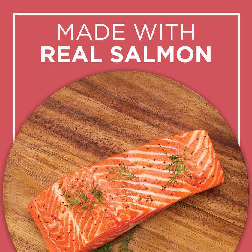 Cat Chow Complete Dry Cat Food, Salmon 6.4kg 🍁 All In One Marketplace Canada