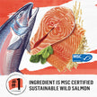 Beyond Simply Natural Dry Cat Food, Salmon & Whole Brown Rice - 2.72 kg Bag 🍁 All In One Marketplace Canada